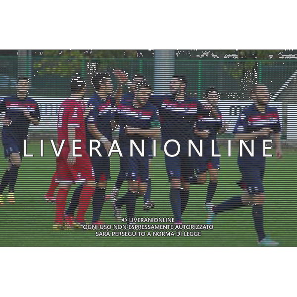 esultanze,Palazzolo-Correggiese categoria D Palazzolo 10 Novembre 2013 .ph Fotolive/Francesco Vinella /Ag. Aldo Liverani s.a.s. 