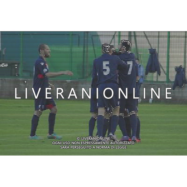 ,Palazzolo-Correggiese categoria D Palazzolo 10 Novembre 2013 .ph Fotolive/Francesco Vinella /Ag. Aldo Liverani s.a.s. 