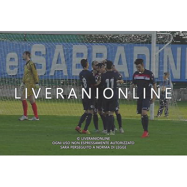 ,Palazzolo-Correggiese categoria D Palazzolo 10 Novembre 2013 .ph Fotolive/Francesco Vinella /Ag. Aldo Liverani s.a.s. 