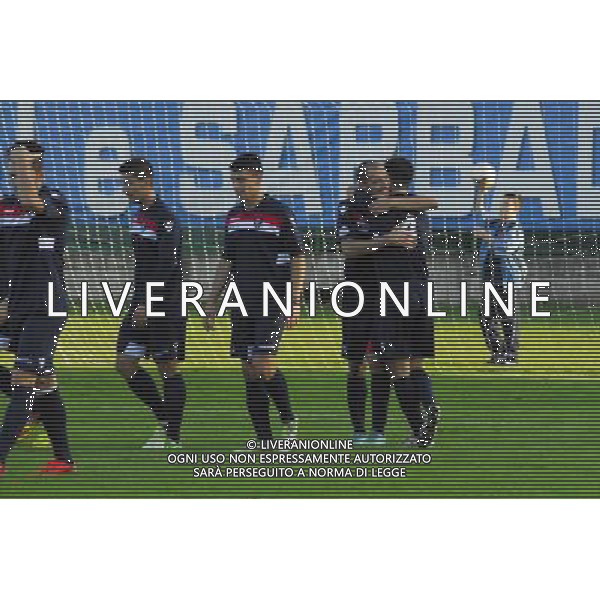 esultanze n,4 selvatico autore del IV gol,Palazzolo-Correggiese categoria D Palazzolo 10 Novembre 2013 .ph Fotolive/Francesco Vinella /Ag. Aldo Liverani s.a.s. 