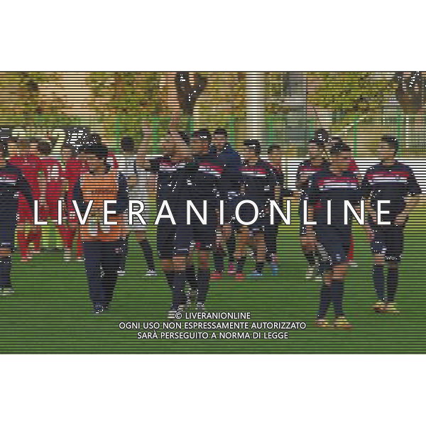 vittoria corregg.,Palazzolo-Correggiese categoria D Palazzolo 10 Novembre 2013 .ph Fotolive/Francesco Vinella /Ag. Aldo Liverani s.a.s. 