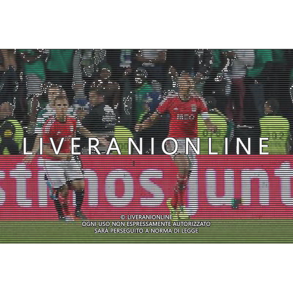 Luisao - 09.11.2013 - Benfica / Sporting - Coupe du Portugal2013 Photo : Carlos Rodrigues / Icon Sport AG ALDO LIVERANI SAS ONLY ITALY