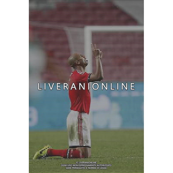 Luisao - 09.11.2013 - Benfica / Sporting - Coupe du Portugal2013 Photo : Carlos Rodrigues / Icon Sport AG ALDO LIVERANI SAS ONLY ITALY