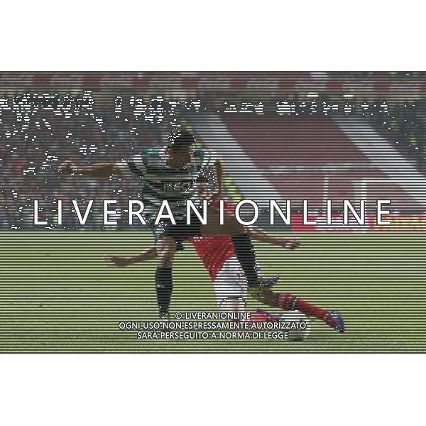 Nicolas Gaitan / Piri - 09.11.2013 - Benfica / Sporting - Coupe du Portugal2013 Photo : Carlos Rodrigues / Icon Sport AG ALDO LIVERANI SAS ONLY ITALY