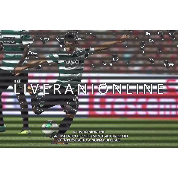 Andre Martins - 09.11.2013 - Benfica / Sporting - Coupe du Portugal2013 Photo : Carlos Rodrigues / Icon Sport AG ALDO LIVERANI SAS ONLY ITALY