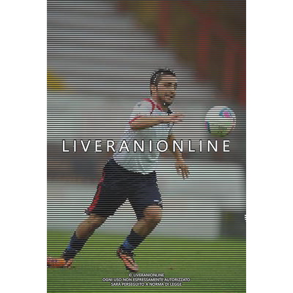 L\'AQUILA CALCIO 2013-2014 NELLA FOTO CORAPI FRANCESCO FOTO ROBERTO SETTONCE-AG ALDO LIVERANI SAS
