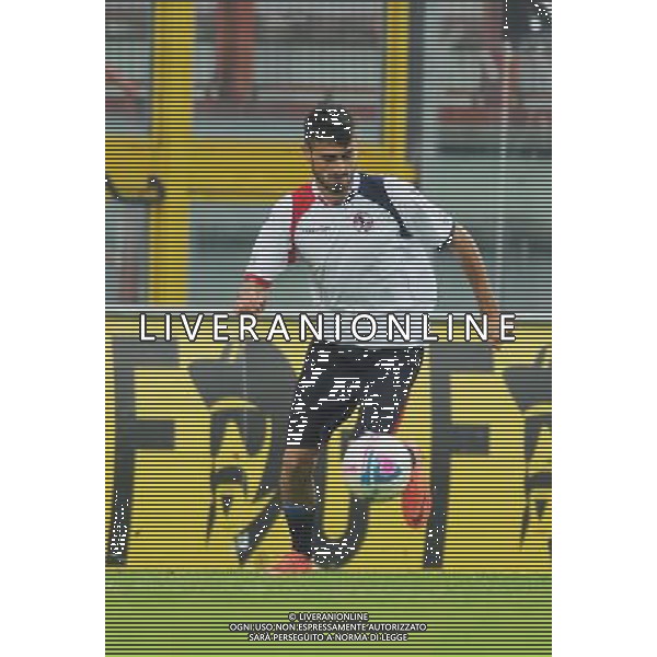 L\'AQUILA CALCIO 2013-2014 NELLA FOTO SCRUGLI ANDREA FOTO ROBERTO SETTONCE-AG ALDO LIVERANI SAS