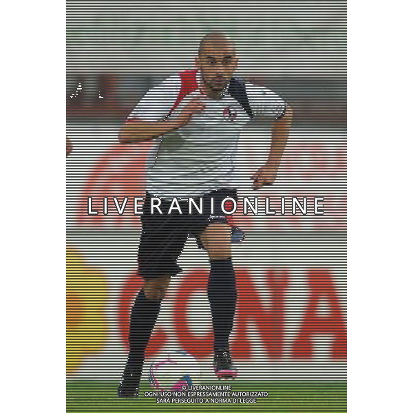 L\'AQUILA CALCIO 2013-2014 NELLA FOTO TRICARICO VITTORIO FOTO ROBERTO SETTONCE-AG ALDO LIVERANI SAS