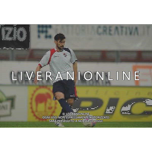 L\'AQUILA CALCIO 2013-2014 NELLA FOTO ZAFFAGNINI ANDREA FOTO ROBERTO SETTONCE-AG ALDO LIVERANI SAS
