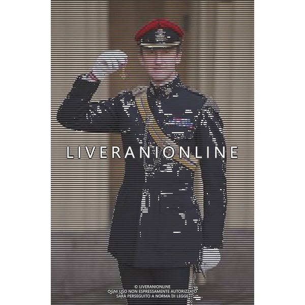 General Sir Peter Wall after receiving his knighthood in the Military division at an Investiture held on the 12th of November 2013 at Buckingham Palace, London, UK. ©PHOTOHSOT/AGENZIA ALDO LIVERANI SAS - ITALY ONLY - EDITORIAL USE ONLY