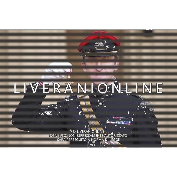 General Sir Peter Wall after receiving his knighthood in the Military division at an Investiture held on the 12th of November 2013 at Buckingham Palace, London, UK. ©PHOTOHSOT/AGENZIA ALDO LIVERANI SAS - ITALY ONLY - EDITORIAL USE ONLY