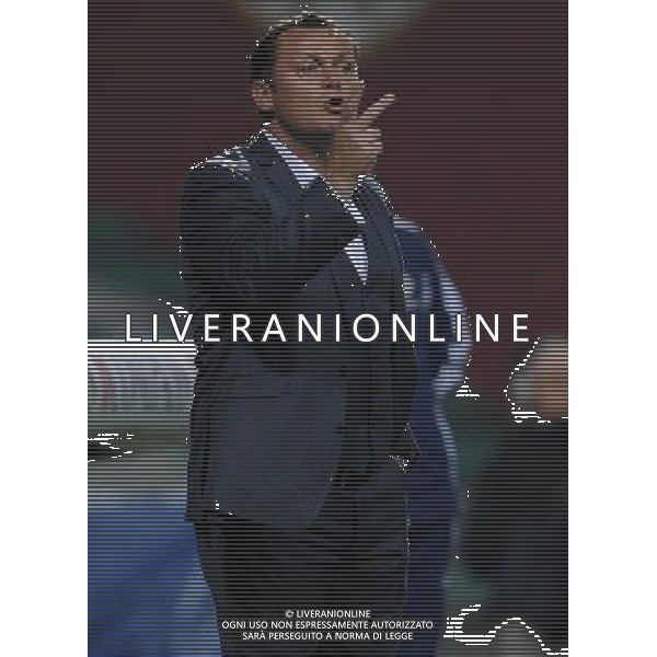 Qualificazioni ai Campionati Europei Under 21 Gruppo 9 Reggio Emilia - 14.11.2013 Italia-Irlanda del Nord Nella Foto:Magilton Jim /Ph.Vitez-Ag. Aldo Liverani