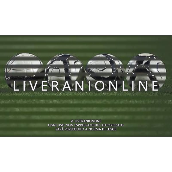 Qualificazioni ai Campionati Europei Under 21 Gruppo 9 Reggio Emilia - 14.11.2013 Italia-Irlanda del Nord Nella Foto:Palloni /Ph.Vitez-Ag. Aldo Liverani