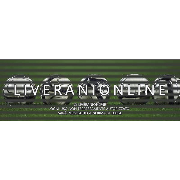 Qualificazioni ai Campionati Europei Under 21 Gruppo 9 Reggio Emilia - 14.11.2013 Italia-Irlanda del Nord Nella Foto:Palloni /Ph.Vitez-Ag. Aldo Liverani