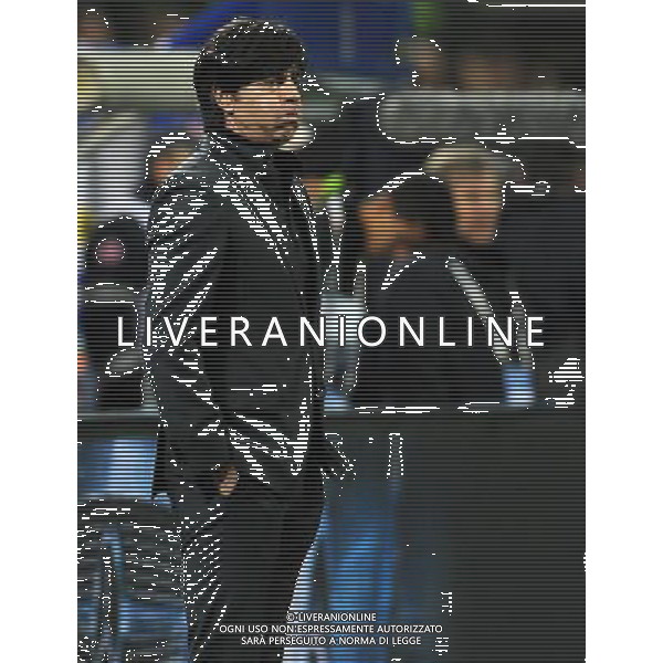 Amichevole Milano - 15.11.2013 Italia-Germania Nella Foto:low /Ph.Vitez-Ag. Aldo Liverani