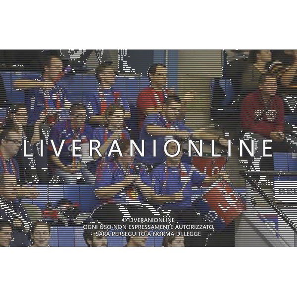 Supporters Lyon - 16.11.2013 - Lyon / Ajaccio - 9eme journee de Ligue A Photo: Dorine Bouteiller / Icon Sport AG ALDO LIVERANI SAS ONLY ITALY