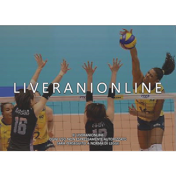 (131117) -- TOKYO, Nov. 17, 2013 () -- Fe Garay (1st, R) of Brazil spikes the ball during the final of the 2013 FIVB World Grand Champions Cup between Japan and Brazil in Tokyo, Japan, on Nov. 17, 2013. Brazil won 3-0. (/Ma Ping) ©photoshot/AGENZIA ALDO LIVERANI SAS - ITALY ONLY - EDITORIAL USE ONLY ©PHOTOHSOT/AGENZIA ALDO LIVERANI SAS - ITALY ONLY - World Grand Champions Cup 2013 al Tokyo Metropolitan Gymnasium di Tokyo, in Giappone, novembre 2013