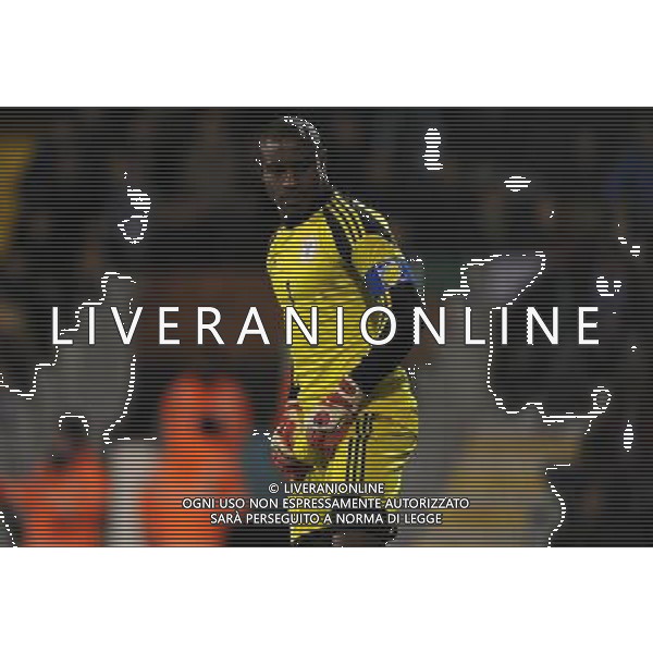 Amichevole Londra - 18.11.2013 Italia-Nigeria Nella Foto:Enyeama Vincent /Ph.Vitez-Ag. Aldo Liverani