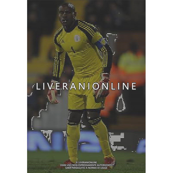 Amichevole Londra - 18.11.2013 Italia-Nigeria Nella Foto:Enyeama Vincent /Ph.Vitez-Ag. Aldo Liverani