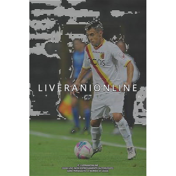 CATANZARO CALCIO 2013-2014 NELLA FOTO CATACCHINI FABIO FOTO SETTONCE ROBERTO-AG ALDO LIVERANI SAS