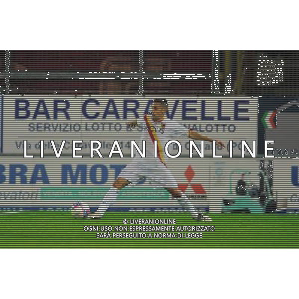 CATANZARO CALCIO 2013-2014 NELLA FOTO CATACCHINI FABIO FOTO SETTONCE ROBERTO-AG ALDO LIVERANI SAS