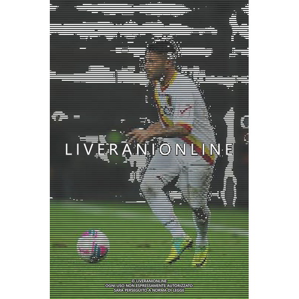 CATANZARO CALCIO 2013-2014 NELLA FOTO CATACCHINI FABIO FOTO SETTONCE ROBERTO-AG ALDO LIVERANI SAS