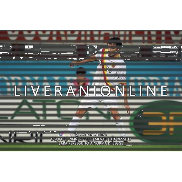 CATANZARO CALCIO 2013-2014 NELLA FOTO MARCHI ALESSANDRO FOTO SETTONCE ROBERTO-AG ALDO LIVERANI SAS