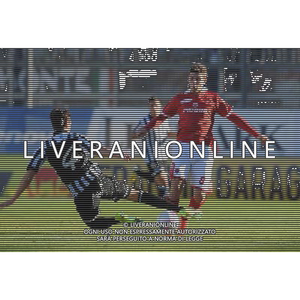 PERUGIA ASCOLI LEGA PRO 23-11-2013 NELLA FOTO NICCO FOTO ROBERTO SETTONCE.AG ALDO LIVERANI SAS