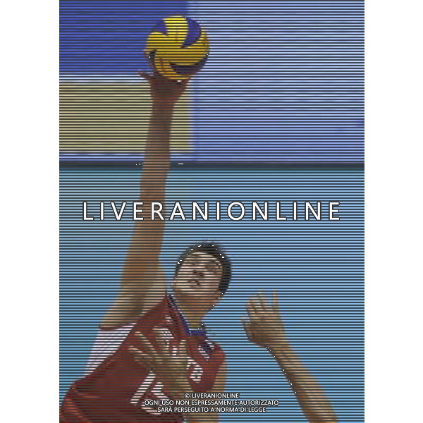 (131123) -- TOKYO, Nov. 23, 2013 () -- Dmitriy Ilinykh of Russia spikes the ball during the FIVB World Grand Champions Cup 2013 against Brazil at Tokyo Metlopolitan Gymnasium in Tokyo, Japan, Nov. 23, 2013. Russia won 3-2. (/Stringer) AG ALDO LIVERANI SAS ONLY ITALY