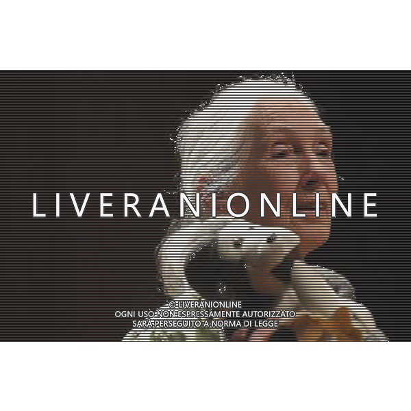 (131123) -- SANTIAGO, Nov. 23, 2013 () -- Primatologist Dr. Jane Goodall, participates in a conference called \'Reasons for Hope\', in the Catholic University of Chile, in Santiago, capital of Chile, on Nov. 23, 2013. Jane Goodall has dedicated her life to studying the behavior of chimpanzees in Africa and to promote sustainables lifestyles for the planet. Goodall will be visiting Chile until Nov. 26 conducting various activities, according to the local press. (/Jorge Villegas) (jp) (ce) ©photoshot/AGENZIA ALDO LIVERANI SAS - ITALY ONLY - La primatologa Dr. Jane Goodall, che ha dedicato la sua vita allo studio del comportamento degli scimpanze\' in Africa partecipa a una conferenza chiamata \'motivi di speranza\', presso l\'Universita\' Cattolica del Cile, a Santiago 23 Novembre 2013