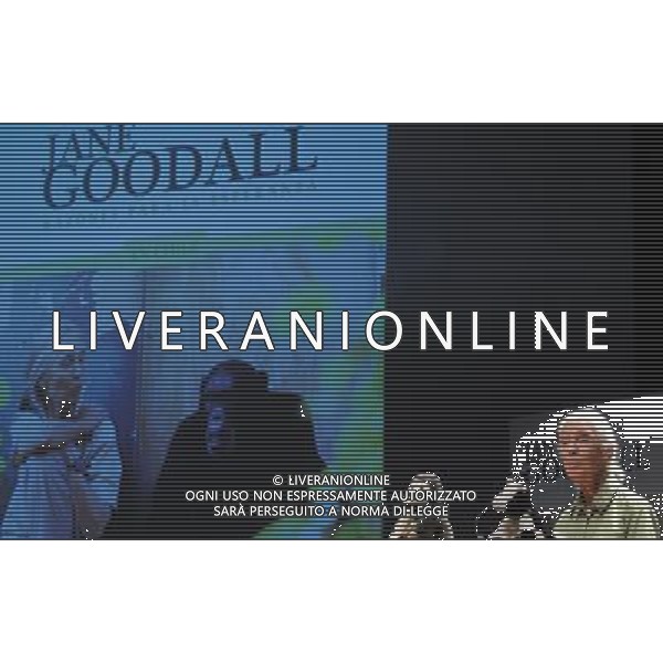 (131123) -- SANTIAGO, Nov. 23, 2013 () -- Primatologist Dr. Jane Goodall, participates in a conference called \'Reasons for Hope\', in the Catholic University of Chile, in Santiago, capital of Chile, on Nov. 23, 2013. Jane Goodall has dedicated her life to studying the behavior of chimpanzees in Africa and to promote sustainables lifestyles for the planet. Goodall will be visiting Chile until Nov. 26 conducting various activities, according to the local press. (/Jorge Villegas) (jp) (ce) ©photoshot/AGENZIA ALDO LIVERANI SAS - ITALY ONLY - La primatologa Dr. Jane Goodall, che ha dedicato la sua vita allo studio del comportamento degli scimpanze\' in Africa partecipa a una conferenza chiamata \'motivi di speranza\', presso l\'Universita\' Cattolica del Cile, a Santiago 23 Novembre 2013