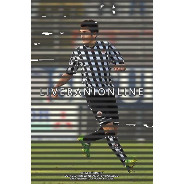PERUGIA ASCOLI LEGA PRO 24-11-2013 NELLA FOTO CARPANI GIANLUCA FOTO ROBERTO SETTONCE -AG ALDO LIVERANI SAS