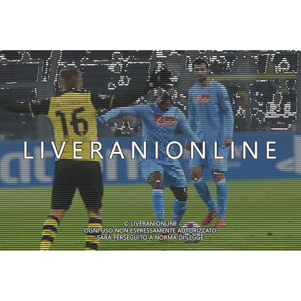 BORUSSIA DORTMUND - NAPOLI CHAMPIONS LEAGUE 26 NOVEMBRE 2013 NELLA FOTO: ARMERO ©MOSCA/AGENZIA ALDO LIVERANI SAS