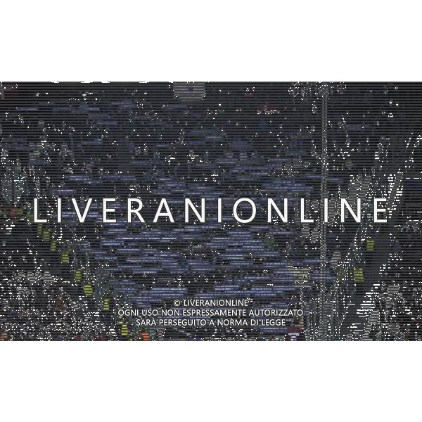 Juventus - FC Copenhagen Champions Leaugue 2013-2014 27-11-2013 Federico Tardito/Agenzia Aldo Liverani Sas Nella foto tifosi Copenhagen