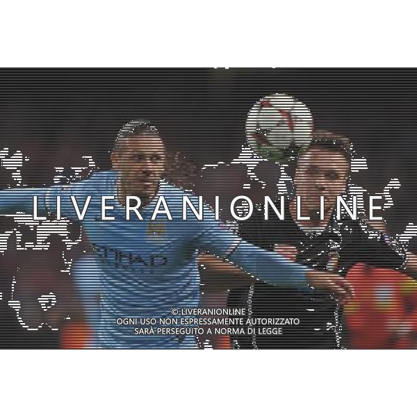 Manchester City\'s Martin Demichelis and Viktoria Plzen\'s Stanislav Tecl battle for the ball Photo by Dave Howarth/CameraSport Football - UEFA Champions League Group D - Manchester City v FC Viktoria Plzen - Wednesday 27th November 2013 - Ethiad Stadium - Manchester Â© CameraSport - 43 Linden Ave. Countesthorpe. Leicester. England. LE8 5PG - Tel: +44 (0) 116 277 4147 - admin@camerasport.com - www.camerasport.com AG ALDO LIVERANI SAS ONLY ITALY