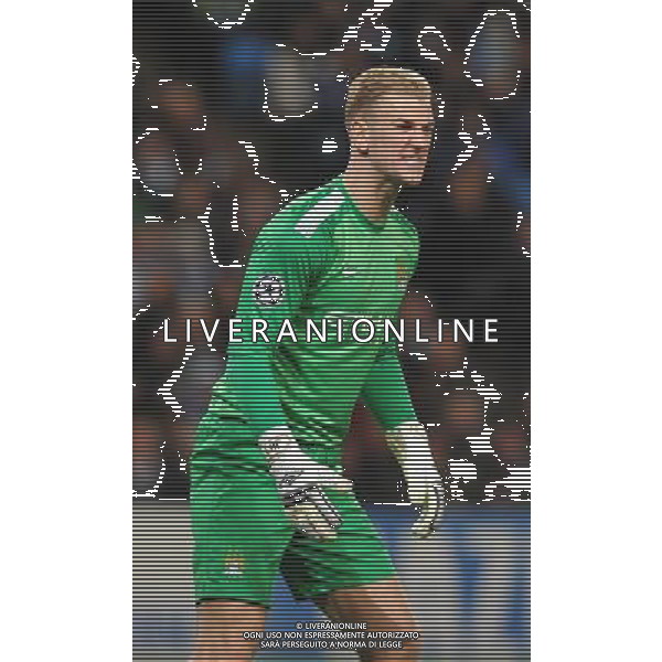 Manchester City\'s Joe Hart Photo by Dave Howarth/CameraSport Football - UEFA Champions League Group D - Manchester City v FC Viktoria Plzen - Wednesday 27th November 2013 - Ethiad Stadium - Manchester Â© CameraSport - 43 Linden Ave. Countesthorpe. Leicester. England. LE8 5PG - Tel: +44 (0) 116 277 4147 - admin@camerasport.com - www.camerasport.com AG ALDO LIVERANI SAS ONLY ITALY