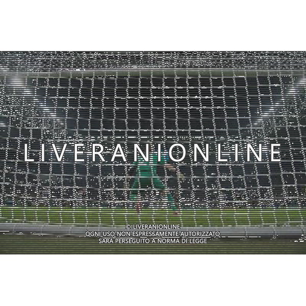 2013 © Matteo Bottanelli - MB Torino 27/11/13 - Football - Uefa Champions League - Juventus Copenhagen - shown in the picture: Goal Penalty Arturo Vidal AG ALDO LIVERANI SAS ONLY ITALY