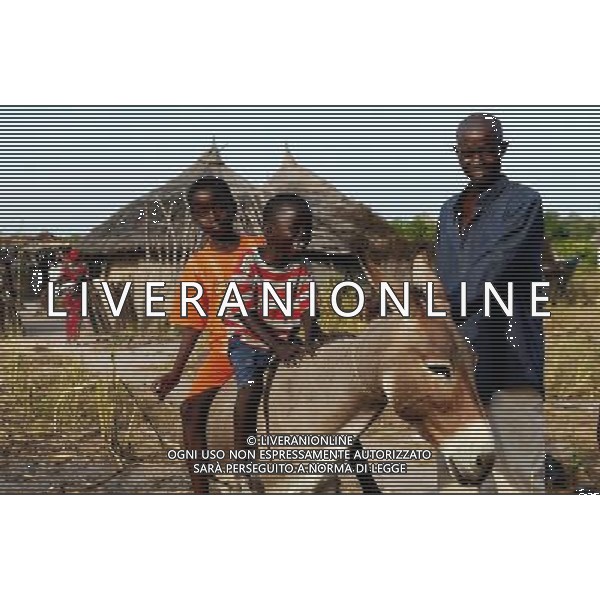 (131128) -- BEIJING, Nov. 28, 2013 () -- Children ride a donkey in the Village of Badi near Niokolo-Koba National Park, Senegal, Nov. 16, 2013. For the purpose of environment protection, the Village of Badi moved out of the Niokolo-Koba National Park in 1976, which was later listed as one of the UNESCO World Heritage Sites in 1981. (/Wu Xiaoling)(zhf) ©photoshot/AGENZIA ALDO LIVERANI SAS - ITALY ONLY - La popolazione delle foreste a galleria e savane del Parco Nazionale Niokolo-Koba, in Senegal lungo le rive del fiume Gambia, hanno una fauna molto ricca