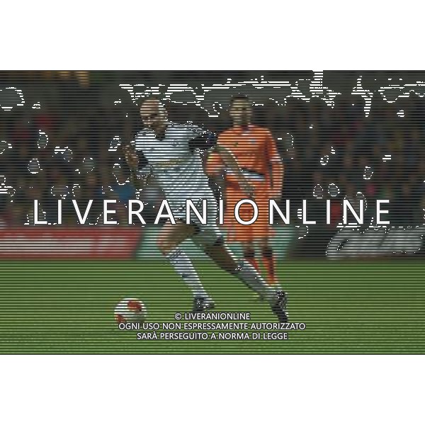 Swansea City\'s Jonjo Shelvey in action during todays match Photo by Ian Cook/CameraSport Football - UEFA Europa League Group A - Swansea City v Valencia - Thursday 28th November 2013 - The Liberty Stadium - Swansea © CameraSport - 43 Linden Ave. Countesthorpe. Leicester. England. LE8 5PG - Tel: +44 (0) 116 277 4147 - admin@camerasport.com - www.camerasport.com AG ALDO LIVERANI SAS ONLY ITALY