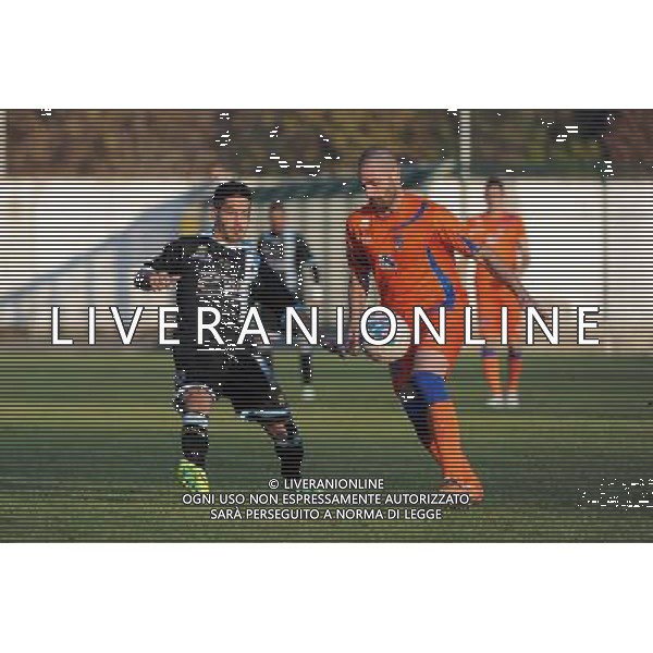 Busto Arsizio (VA) 1-12-2013 Stadio Carlo Speroni Campionato Lega PRO Prima Divisione girone A - 12Â° giornata Pro Patria - Virtus Entella nella foto Sarno e Calzi foto Roberto Garavaglia - ag. Aldo Liverani sas