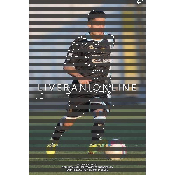 Busto Arsizio (VA) 1-12-2013 Stadio Carlo Speroni Campionato Lega PRO Prima Divisione girone A - 12Â° giornata Pro Patria - Virtus Entella nella foto Vincenzo Sarno (Virtus Entella) foto Roberto Garavaglia - ag. Aldo Liverani sas