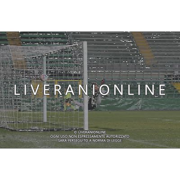 bergamo, stadio atleti azzurri d\'italia, 02 dicembre 2013, nella foto GOL MATTIA VALOTI ,ph.moro/ALDO LIVERANI ©/AGENZIA ALDO LIVERANI SAS ALBINO LEFFE PAVIA LEGA PRO