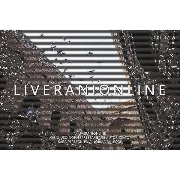 (131202) --NEW DELHI, Dec. 2, 2013 () -- Citizens visit Ugrasen ki Baoli, one of the stepwells in New Delhi, capital of India, Dec. 1, 2013. Stepwells are wells or ponds in which the water may be reached by descending a set of steps. They are most common in western and north India. Some of the stepwells are covered and protected and often of architectural significance. The construction may be utilitarian, but sometimes includes significant architectural embellishments. (/Zheng Huansong)(srb) ©photoshot/AGENZIA ALDO LIVERANI SAS - ITALY ONLY - Veduta di Agrasen ki Baoli, la gradinata a Nuova Delhi, in India, 1 dicembre 2013 formata da pozzi o bacini in cui l\'acqua puo\' essere raggiunta scendendo una serie di passagg di importanza architettonica