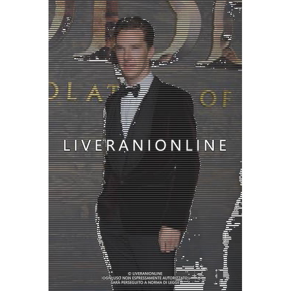 Benedict Cumberbatch at the \'The Hobbit\' Premiere at Dolby Theater on December 2, 2013 in Los Angeles, CA ©PHOTOSHOT/AGENZIA ALDO LIVERANI SAS -
