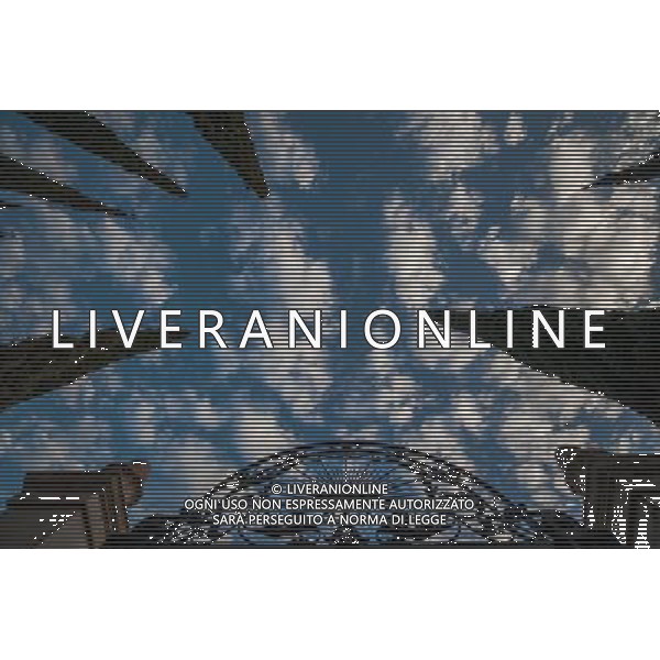 (131207) -- HAIFA (ISRAEL), Dec. 7, 2013 () -- Photo taken on Dec. 4, 2013 shows the decoration on the gate of the Shrine of Baha\'u\'llah in Bahji and its surrounding flora near Acre, Israel. The Baha\'i Holy Places in Haifa and Western Galilee in Israel was inscribed on the UNESCO World Heritage List in 2008 for their profound spiritual meaning and the testimony they bear to the strong tradition of pilgrimage in the Baha\'i faith. The property includes the two most holy places in the Baha\'i religion associated with the founders, the Shrine of Baha\'u\'llah in Acre and the Shrine of the Bab in Haifa, together with their surrounding gardens, associated buildings and monuments. These two shrines are part of a larger complex of buildings, monuments and sites at seven distinct locations in Haifa and Western Galilee that are visited as part of the Baha\'i pilgrimage. (/Li Rui) AG ALDO LIVERANI SAS ONLY ITALY