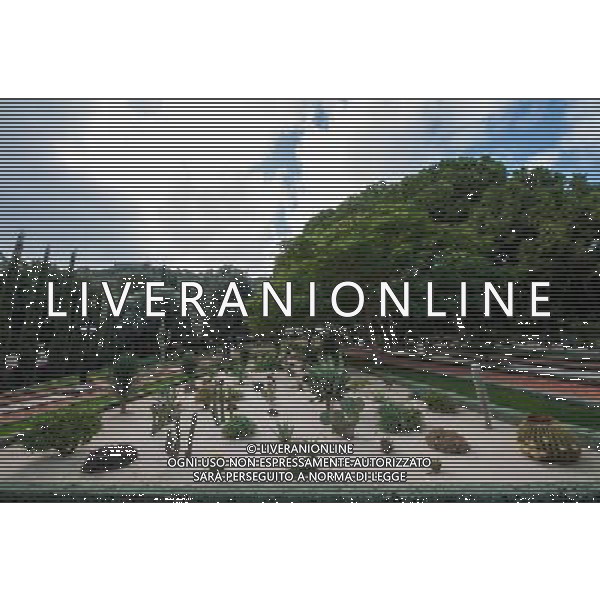 (131207) -- HAIFA (ISRAEL), Dec. 7, 2013 () -- Photo taken on Dec. 4, 2013, shows a variety of flora at a garden outside the Shrine of the Bab in Haifa, Israel. The Baha\'i Holy Places in Haifa and Western Galilee in Israel was inscribed on the UNESCO World Heritage List in 2008 for their profound spiritual meaning and the testimony they bear to the strong tradition of pilgrimage in the Baha\'i faith. The property includes the two most holy places in the Baha\'i religion associated with the founders, the Shrine of Baha\'u\'llah in Acre and the Shrine of the Bab in Haifa, together with their surrounding gardens, associated buildings and monuments. These two shrines are part of a larger complex of buildings, monuments and sites at seven distinct locations in Haifa and Western Galilee that are visited as part of the Baha\'i pilgrimage. (/Li Rui) AG ALDO LIVERANI SAS ONLY ITALY