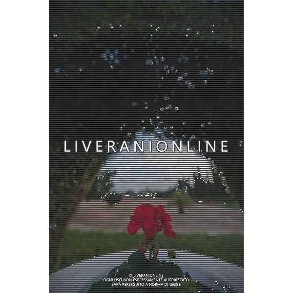 (131207) -- HAIFA (ISRAEL), Dec. 7, 2013 () -- Photo taken on Dec. 4, 2013 shows a blossoming flower at a garden near the Shrine of Baha\'u\'llah in Bahji near Acre, Israel. The Baha\'i Holy Places in Haifa and Western Galilee in Israel was inscribed on the UNESCO World Heritage List in 2008 for their profound spiritual meaning and the testimony they bear to the strong tradition of pilgrimage in the Baha\'i faith. The property includes the two most holy places in the Baha\'i religion associated with the founders, the Shrine of Baha\'u\'llah in Acre and the Shrine of the Bab in Haifa, together with their surrounding gardens, associated buildings and monuments. These two shrines are part of a larger complex of buildings, monuments and sites at seven distinct locations in Haifa and Western Galilee that are visited as part of the Baha\'i pilgrimage. (/Li Rui) AG ALDO LIVERANI SAS ONLY ITALY