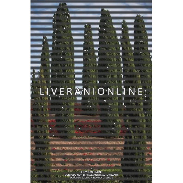 (131207) -- HAIFA (ISRAEL), Dec. 7, 2013 () -- Photo taken on Dec. 4, 2013, shows a garden in front of the Shrine of Baha\'u\'llah in Bahji near Acre, Israel. The Baha\'i Holy Places in Haifa and Western Galilee in Israel was inscribed on the UNESCO World Heritage List in 2008 for their profound spiritual meaning and the testimony they bear to the strong tradition of pilgrimage in the Baha\'i faith. The property includes the two most holy places in the Baha\'i religion associated with the founders, the Shrine of Baha\'u\'llah in Acre and the Shrine of the Bab in Haifa, together with their surrounding gardens, associated buildings and monuments. These two shrines are part of a larger complex of buildings, monuments and sites at seven distinct locations in Haifa and Western Galilee that are visited as part of the Baha\'i pilgrimage. (/Li Rui) AG ALDO LIVERANI SAS ONLY ITALY