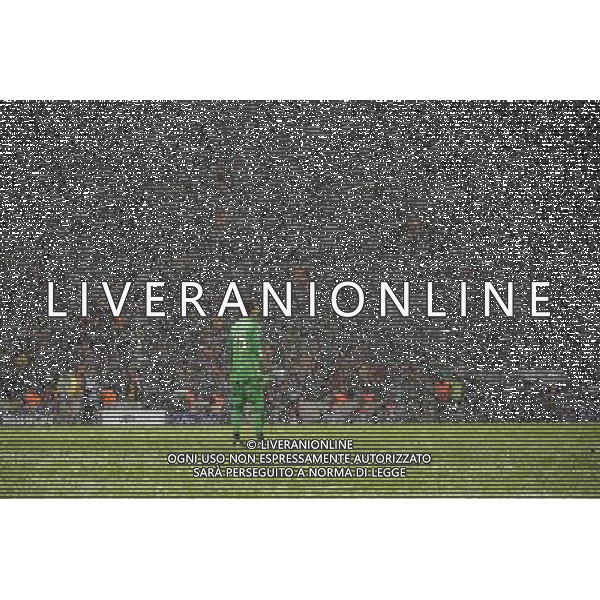 Galatasaray - Juventus Champions League 2013-2014 10 dicembre 2013 Nella foto Muslera ©Tardito/Agenzia Aldo Liverani Sas