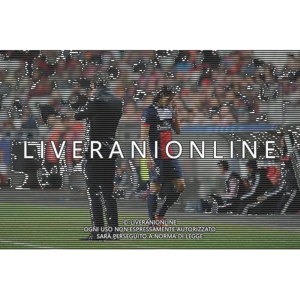 Laurent BLANC / Edinson CAVANI - 10.12.2013 - Benfica / Paris Saint Germain - Champions League Photo Amandine Noel / Icon Sport AG ALDO LIVERANI SAS ONLY ITALY